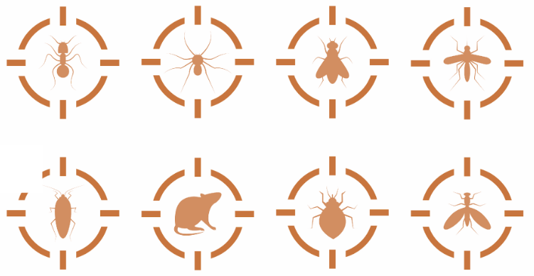 Iconografía de plagas controladas por Corpurano: hormigas, arañas, moscas, zancudos, cucarachas, roedores, chinches y avispas